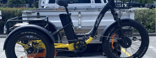 Rack N Ride Hitch Mounted Electric Trike Rack